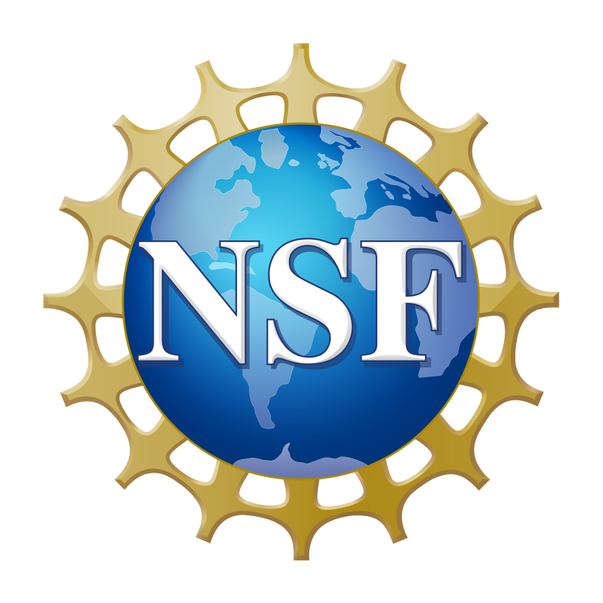 NSF logo